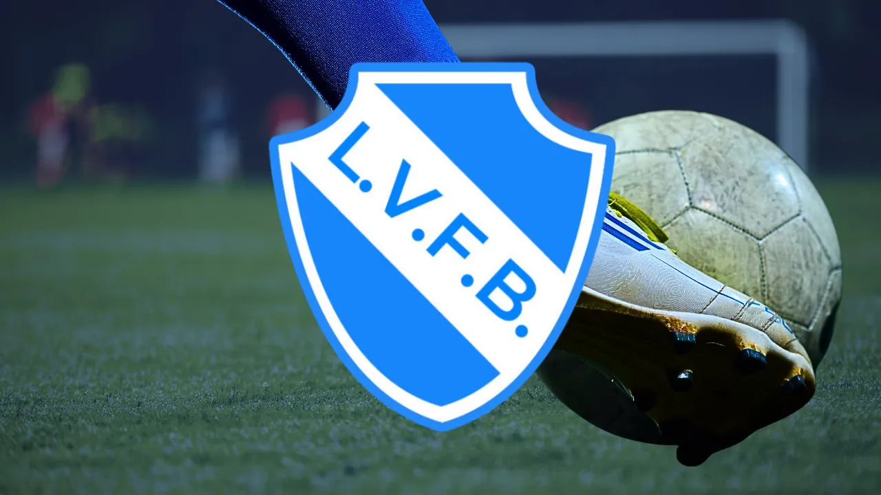 Liga Venadense